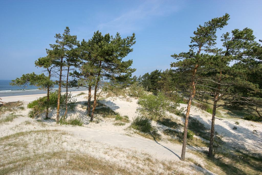 Vila Medus Palanga Ngoại thất bức ảnh
